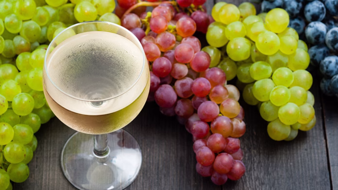 grapes wine grapes wine