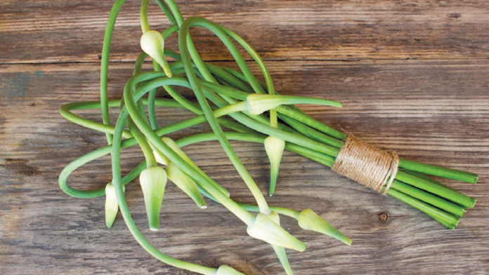 Garlic Scapes Garlic Scapes