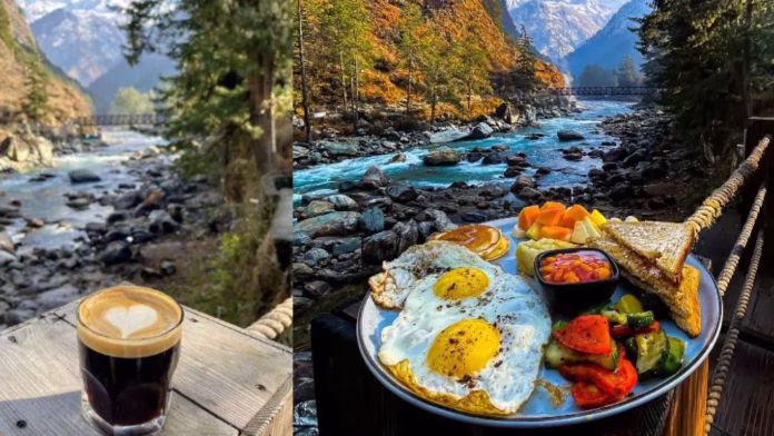 cafe himchal pradesh