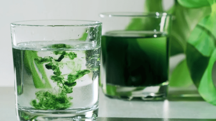 chlorophyll water