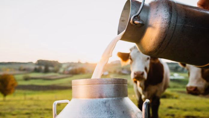 milk supply milk supply