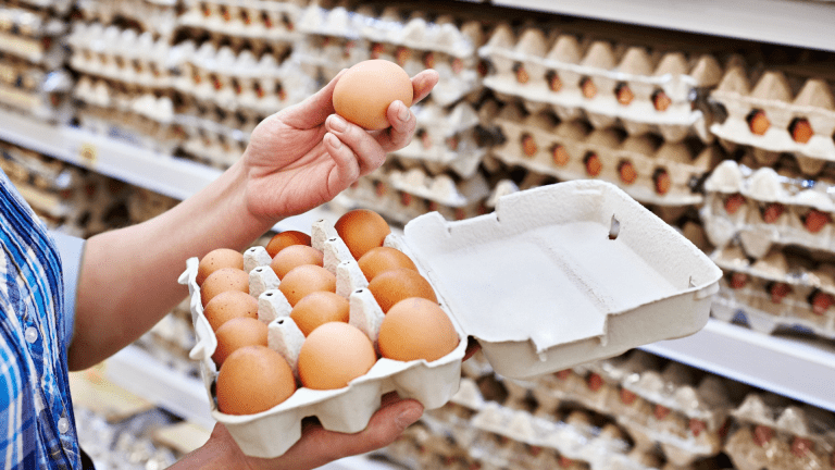 Consumers to pay more for eggs as global prices projected to stay high in 2023