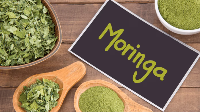 moringa