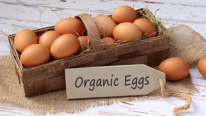 Organic eggs