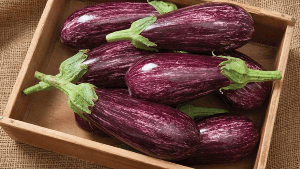 Here Is Why Women Should Avoid Eggplant During PregnancyÂ Indian Food