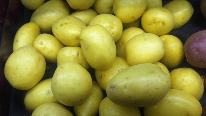 green potatoes