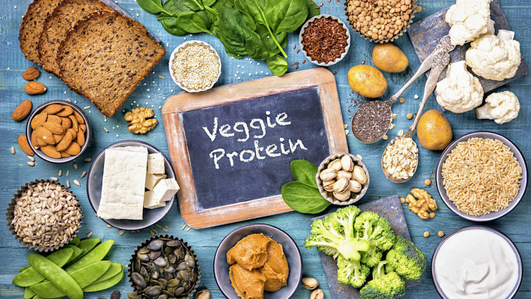 veg protein