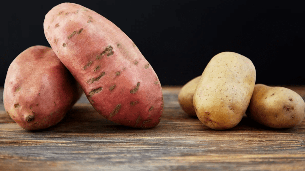 White Potatoes Vs Sweet Potatoes Which Is The Healthier Option? Snackfax
