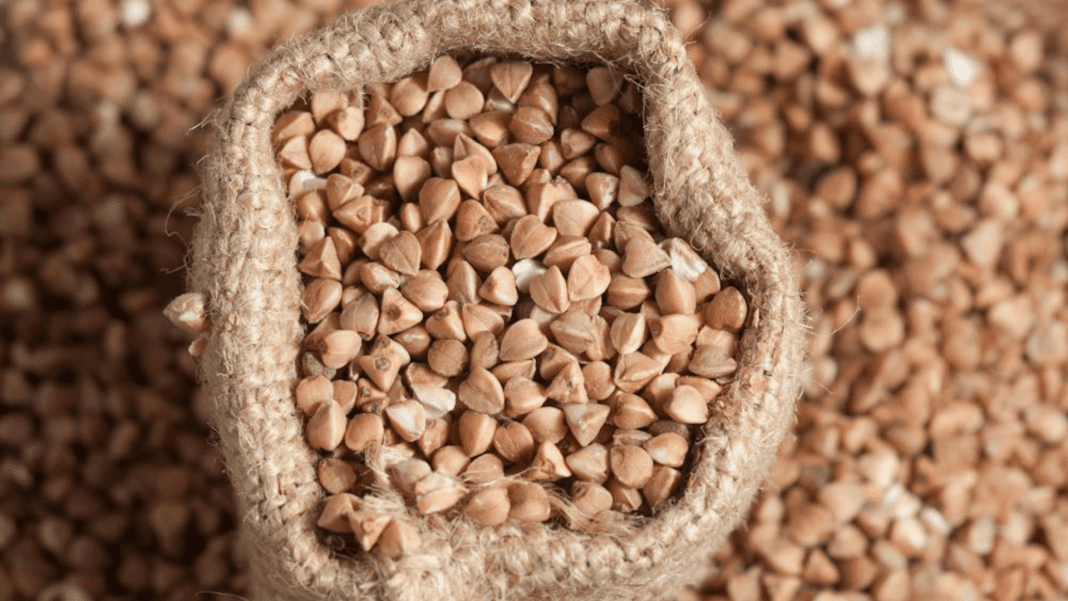 Is Buckwheat Really Good For You? Here Is What You Need To Know