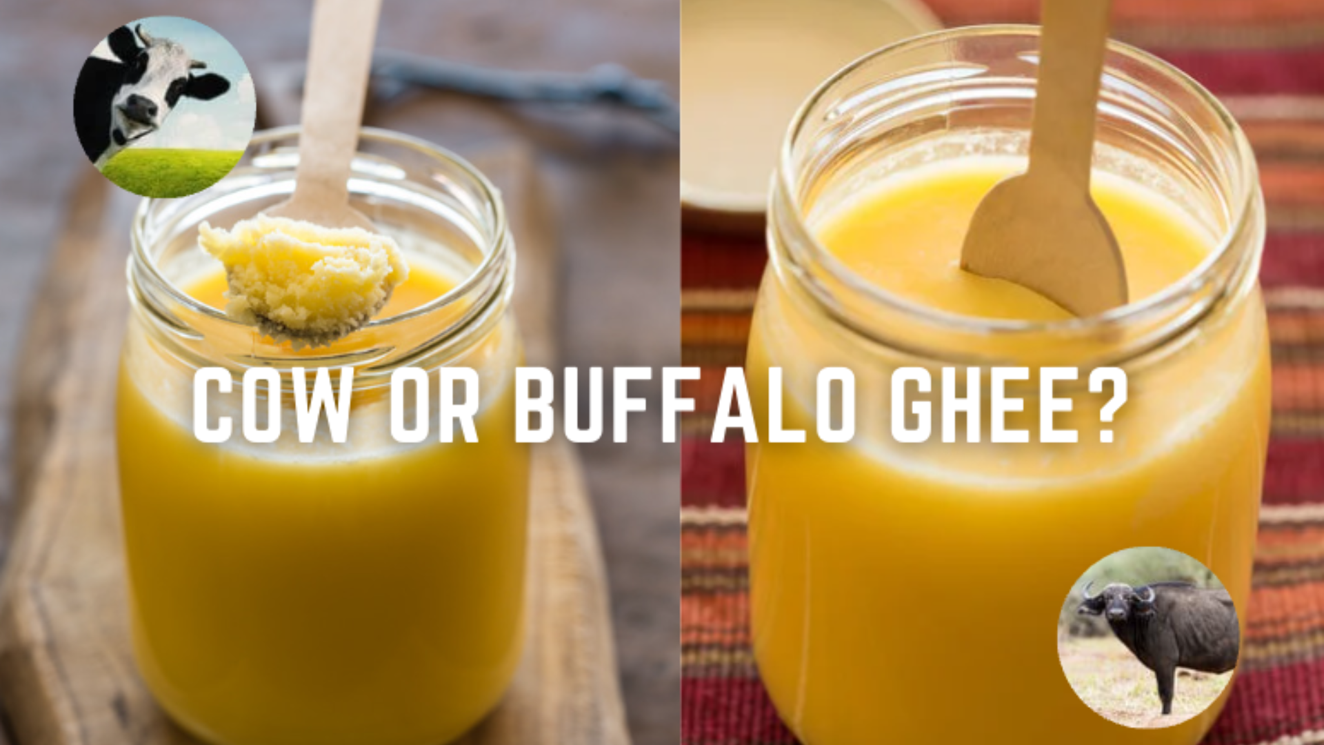 Unveiling The Surprising Truth Cow Ghee Vs Buffalo Ghee Which Is The