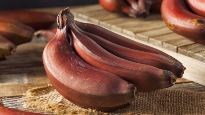 Red Bananas