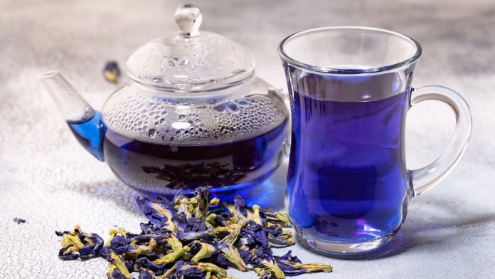 butterfly pea flower tea butterfly pea flower tea