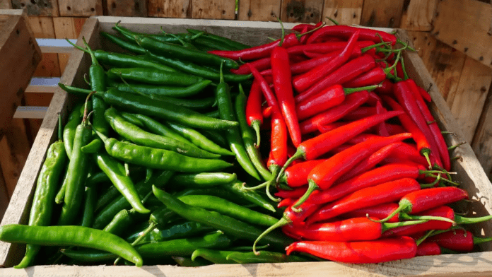 red green chilly