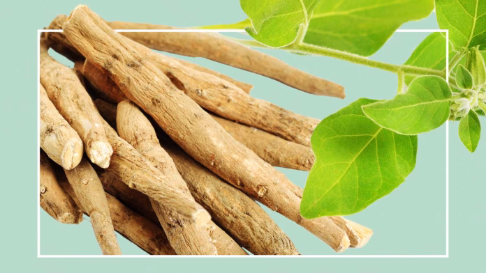 Ashwagandha Ashwagandha