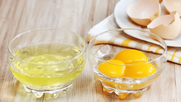 Egg Yolks vs Egg Whites