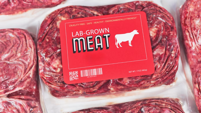 lab-grown meat