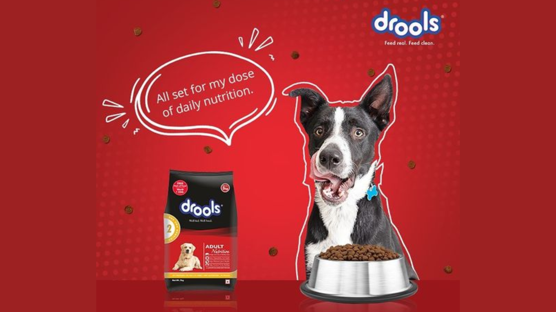 indian-pet-food-brand-drools-secures-60-million-investment-from-l