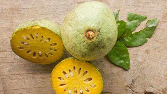 bael fruit bael fruit