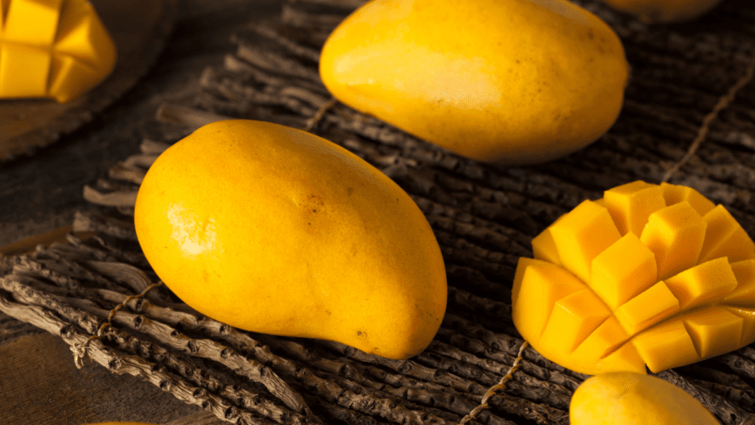 mango ripening powder