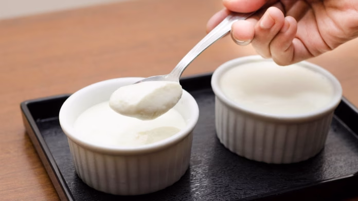 sour curd sour curd