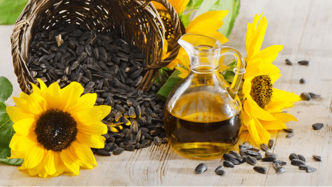 sunflower oil skin