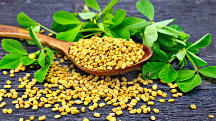 Fenugreek
