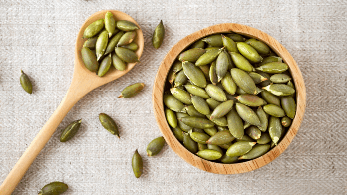 Pumpkin Seeds Pumpkin Seeds