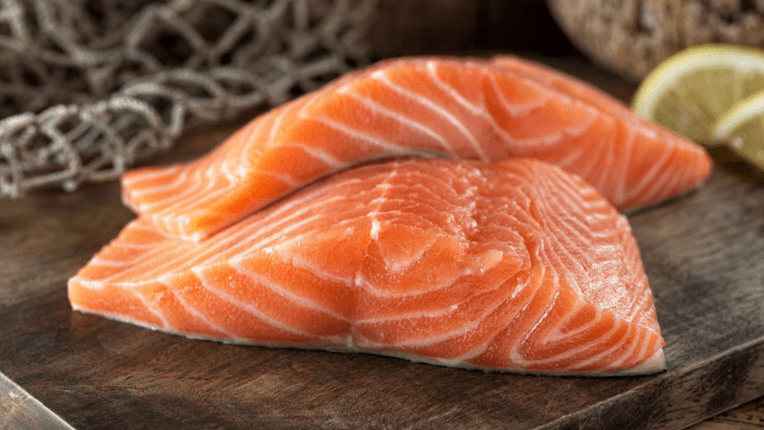 Salmon