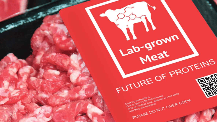 Lab-grown meat