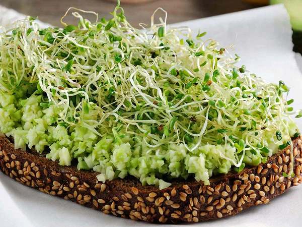 Protein Sprouts