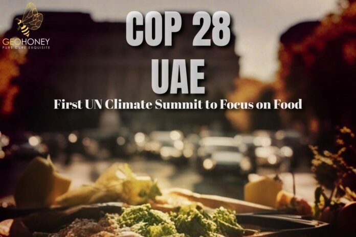 COP 28 Plant-based Food