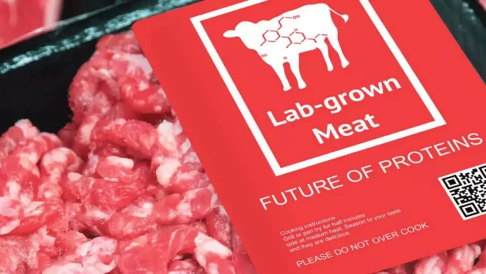 Lab-grown meat