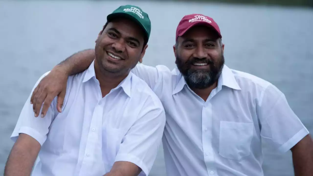 Two Brothers Organic Farms Brown Top Millets main image 0