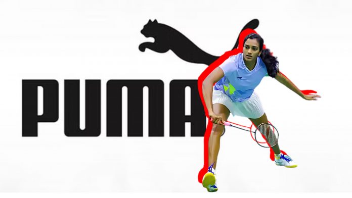 Image of puma