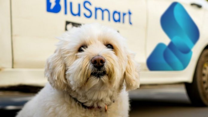Image of blusmart