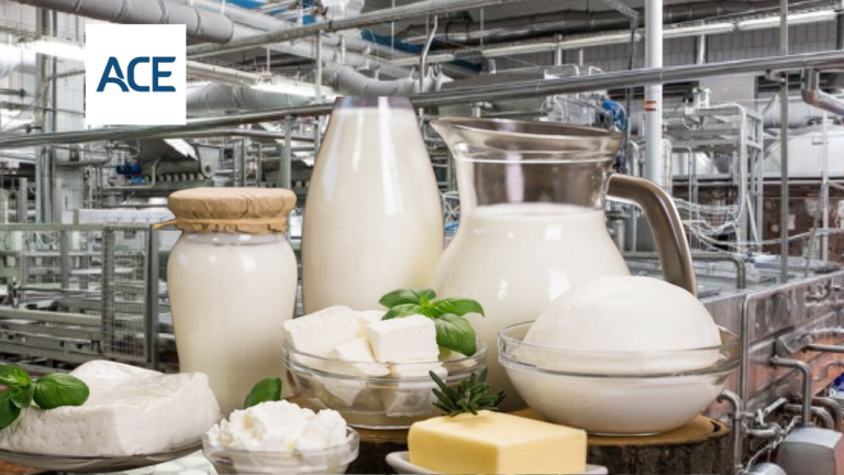 Ace International Raises $35M from FMO and Global Investors to Scale B2B and B2C Dairy Operations