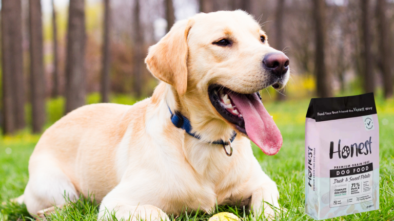 India’s Honest Pet Company Expands Internationally with Cold-Pressed, Air-Dried Pet Nutrition